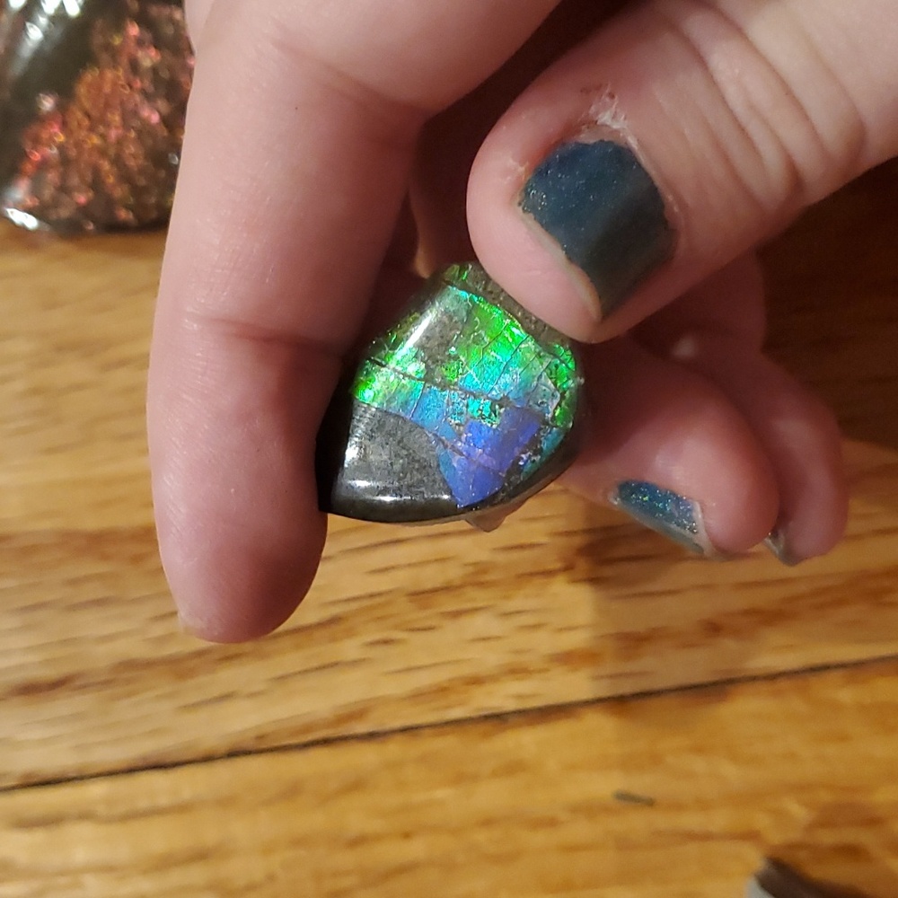 Ammolite fossil lot - Picture 8 of 12
